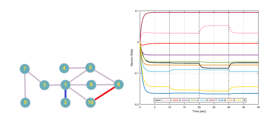 Network Identification